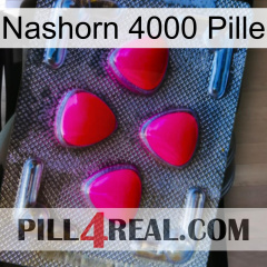 Rhino 4000 Pill 13
